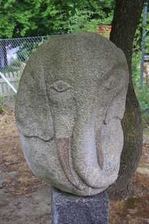 Elefant